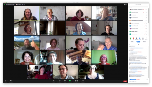 Screenshot of online meeting