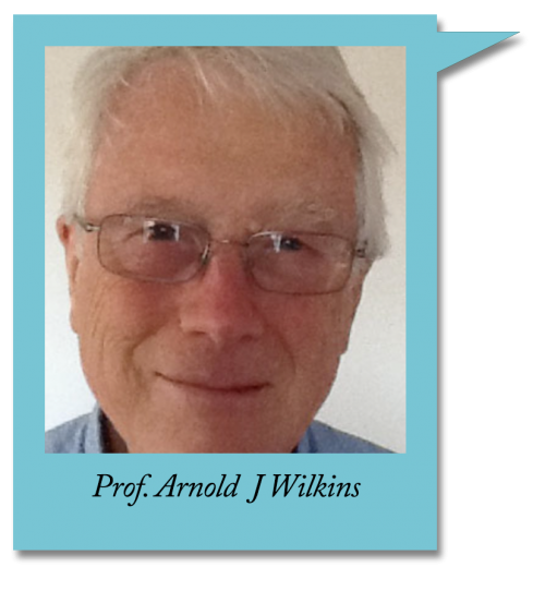 Professor Arnold Wilkins